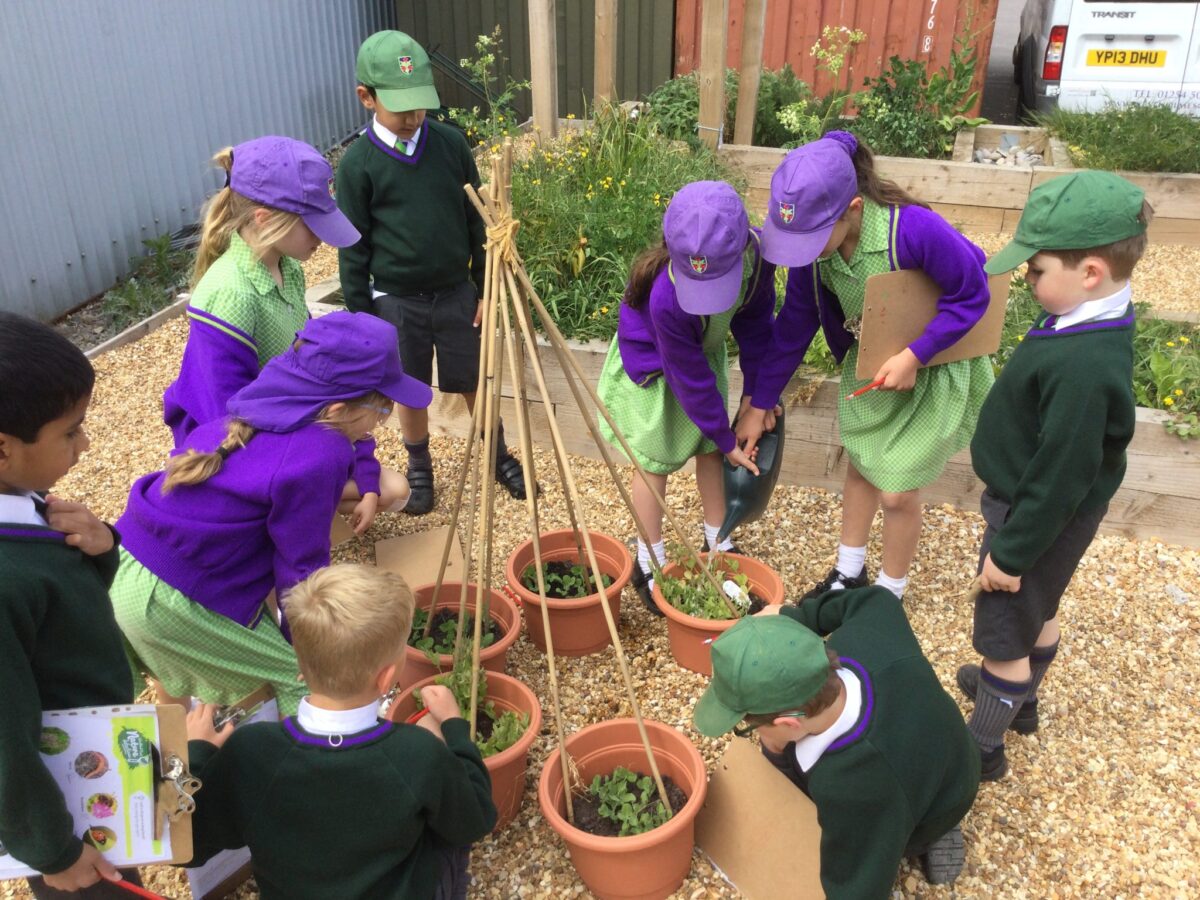 Summer Term Outdoor Learning